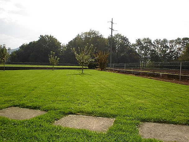 Gartenbau | Rasenanlagen | Kundengärtner Alex Fiore | Neuendorf