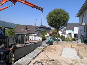 Stahlbecken|Kundengärtner Fiore|Neuendorf